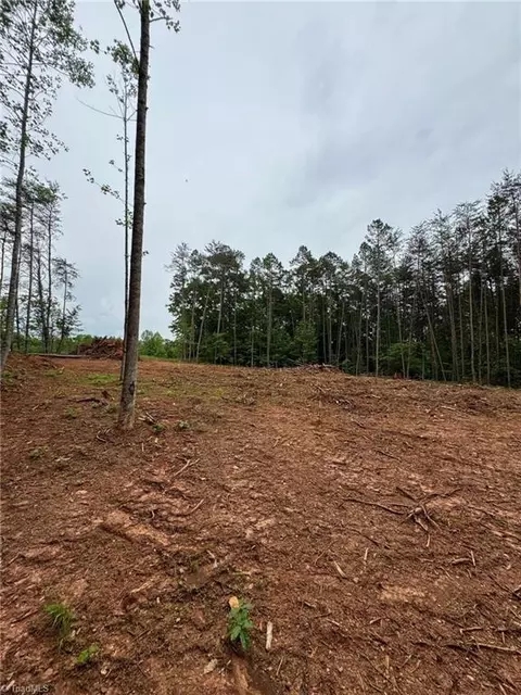 0 Corner Rd, Pinnacle, NC 27043 photo 5