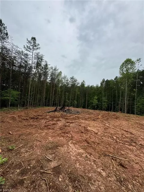 0 Corner Rd, Pinnacle, NC 27043 photo 4