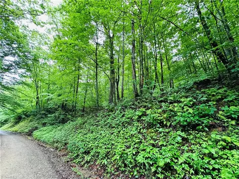 00 Meadows Rd W #LOT 3, Moravian Falls, NC 28654