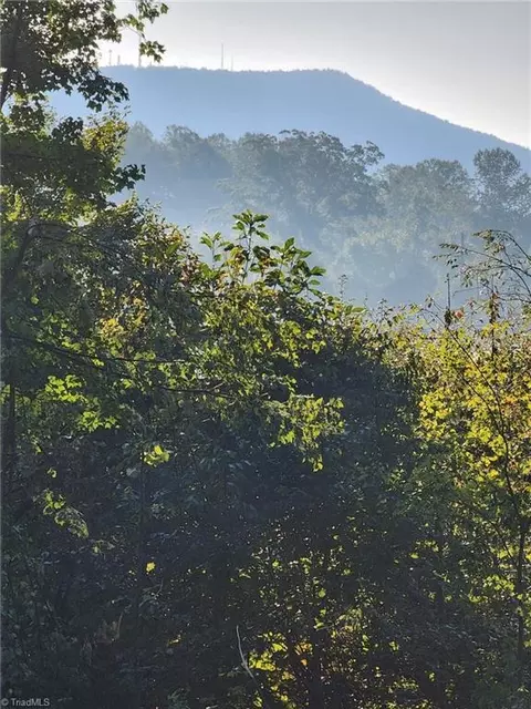 1116 Wilkerson Dr, Pilot Mountain, NC 27041