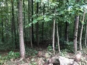 Lt 15 Zinzendorf Lane, Moravian Falls, NC 28654