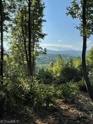 125 Ahart Ridge Rd Unit 72  