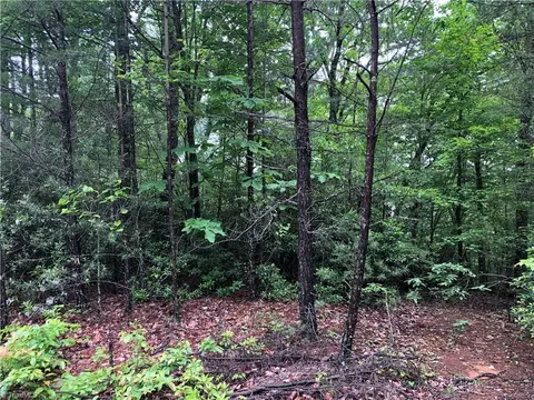 80 Deer Antler Road, Purlear, NC 28665 photo 10