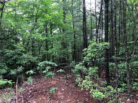 80 Deer Antler Road, Purlear, NC 28665 photo 8