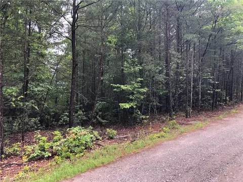 80 Deer Antler Road, Purlear, NC 28665 photo 7