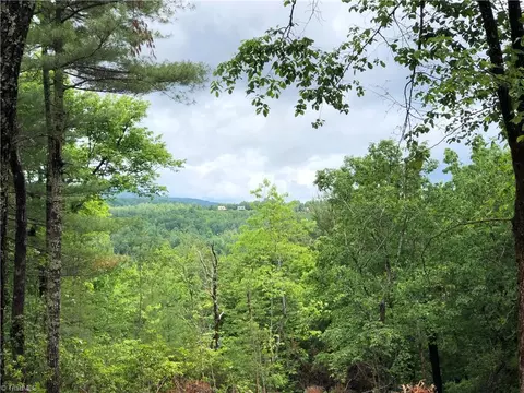 80 Deer Antler Road, Purlear, NC 28665 photo 13