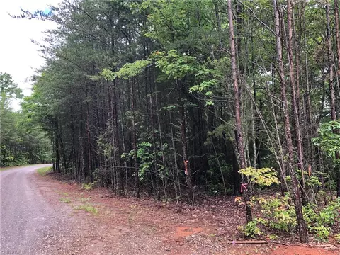 80 Deer Antler Road, Purlear, NC 28665 photo 12