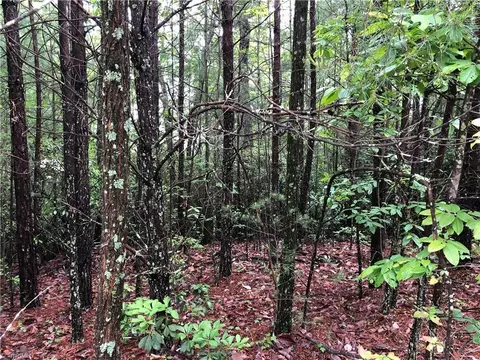 80 Deer Antler Road, Purlear, NC 28665 photo 9