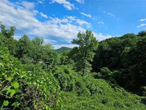 View/Area - 10167 Pine St W, Lowgap, NC 27024 photo 1 of 3