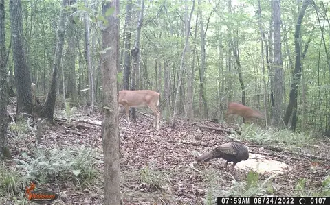 Lot 40 Granite Rock Drive, Denton, NC 27239