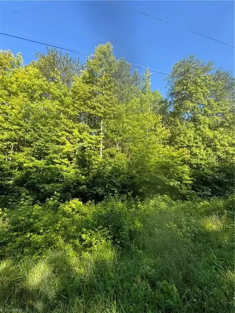 0 Badgett Sisters Pkwy, Yanceyville, NC 27379