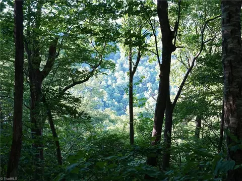 2575 Shooting Creek Rd, Floyd, VA 24091 photo 6