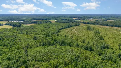 00 Ether Rd, Star, NC 27356 photo 10