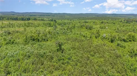 00 Ether Rd, Star, NC 27356 photo 6