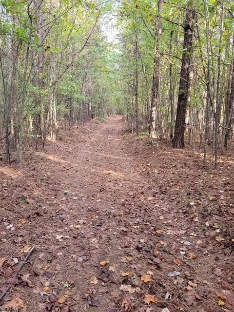 00 Anglin Mill Rd, Stoneville, NC 27048