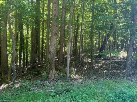 tbd Golf Course Rd, Pilot Mountain, NC 27041