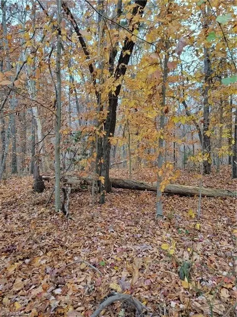 0 Rhodes Loop, Madison, NC 27025 photo 2