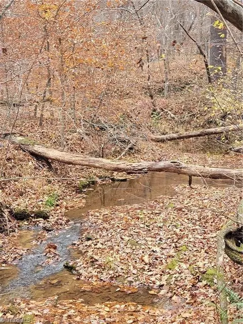 0 Rhodes Loop, Madison, NC 27025 photo 4