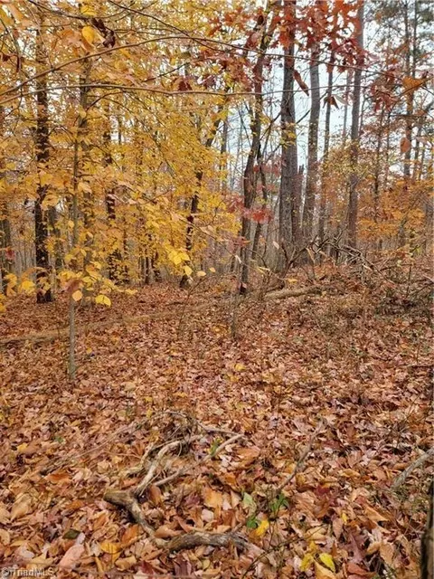 0 Rhodes Loop, Madison, NC 27025 photo 3