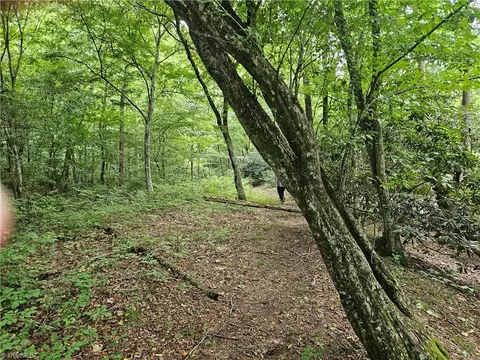 1106 River Rd, Dobson, NC 27017 photo 30
