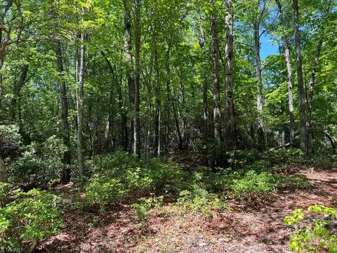 9 Laurel Rd, Purlear, NC 28665 photo 3