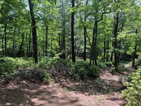 9 Laurel Rd, Purlear, NC 28665