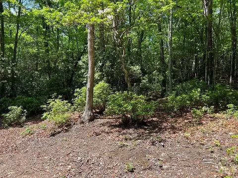 9 Laurel Rd, Purlear, NC 28665 photo 2