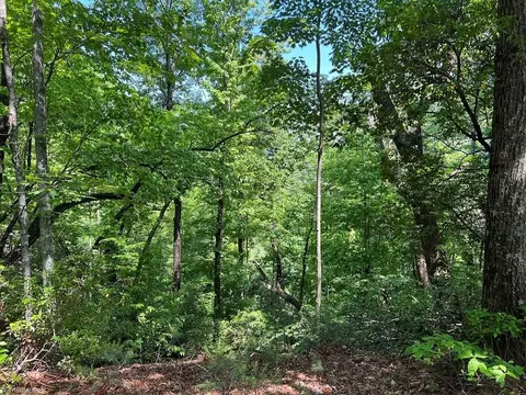 9 Laurel Rd, Purlear, NC 28665 photo 5