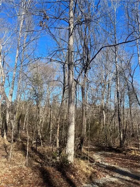 0 Williamsburg Dr, Trinity, NC 27370 photo 3