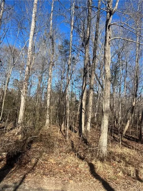 0 Williamsburg Dr, Trinity, NC 27370