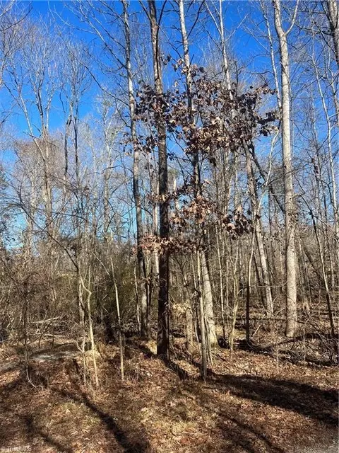0 Williamsburg Dr, Trinity, NC 27370 photo 2