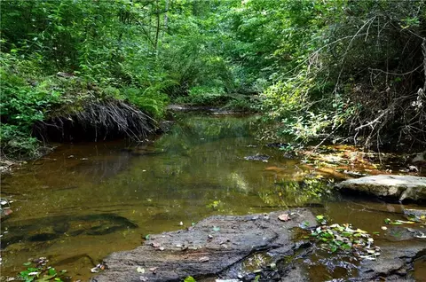 00 Matrimony Rd, Eden, NC 27288