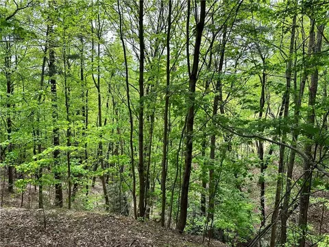 lot112 Buck Mountain Rd, Purlear, NC 28665