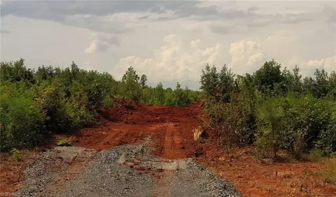 4 State Highway 49, Denton, NC 27239 photo 10