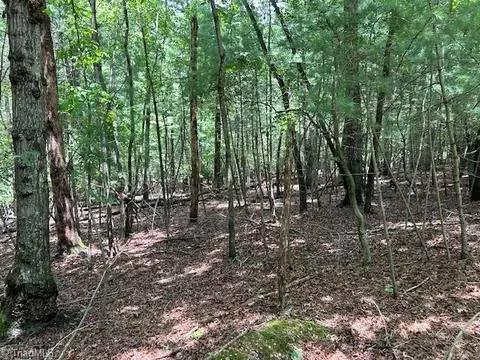 390 Sylvan Rd, Thurmond, NC 28683