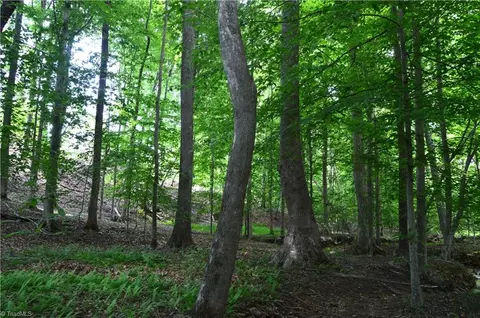 02 Dillard Rd, Madison, NC 27025 photo 5