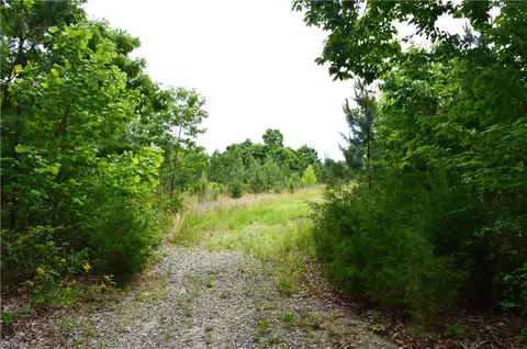 02 Dillard Rd, Madison, NC 27025 photo 18