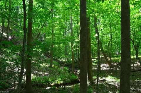 02 Dillard Rd, Madison, NC 27025 photo 23