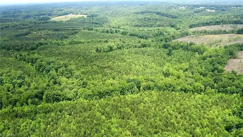 02 Dillard Rd, Madison, NC 27025 photo 33