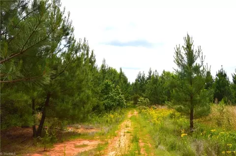 02 Dillard Rd, Madison, NC 27025 photo 20