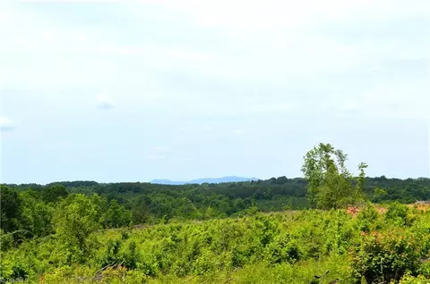 02 Dillard Rd, Madison, NC 27025 photo 9