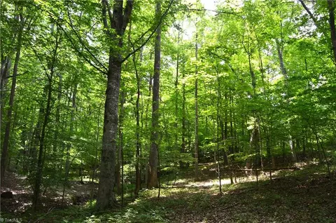 02 Dillard Rd, Madison, NC 27025 photo 25
