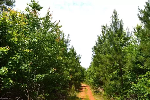 02 Dillard Rd, Madison, NC 27025 photo 28