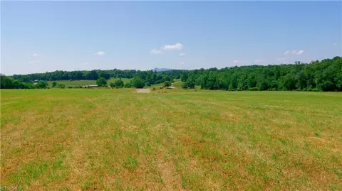 0 Tom Hunter Rd, Pilot Mountain, NC 27041 photo 16