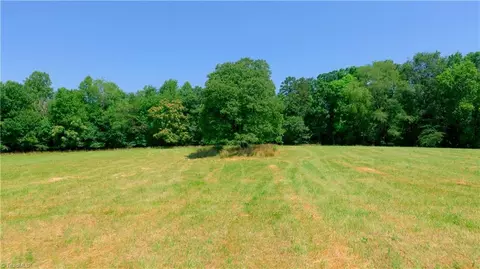 0 Tom Hunter Rd, Pilot Mountain, NC 27041 photo 19