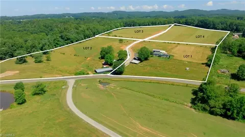 0 Tom Hunter Rd, Pilot Mountain, NC 27041 photo 6