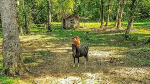 Other - 233 Walker Rd E, Elkin, NC 28621 photo 1 of 7