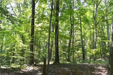 00 Oak Hill Farm Rd, Pelham, NC 27311