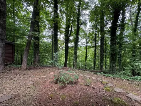 3240 High Cliffs Rd, Pfafftown, NC 27040 photo 41