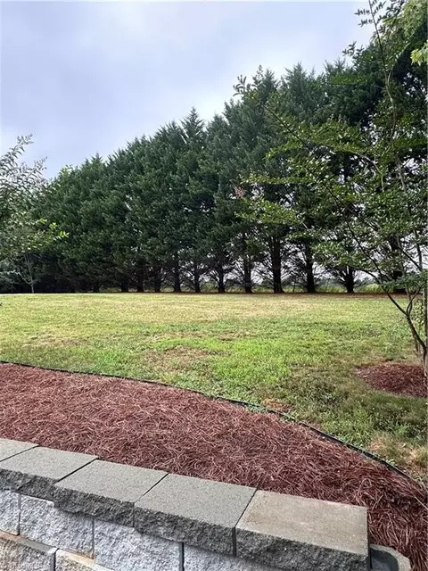 121 Conifer Ct, King, NC 27021 photo 22